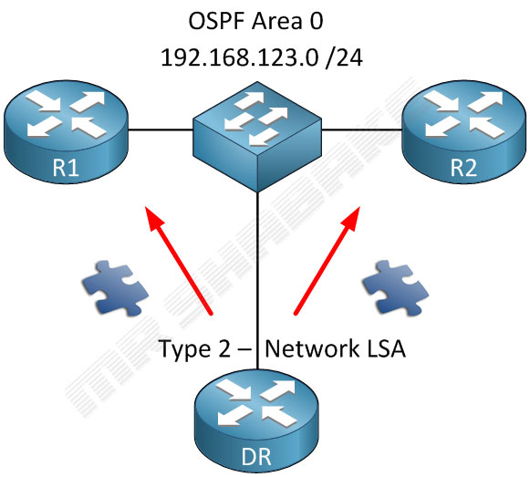 انواع LSA در OSPF