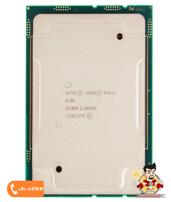 پردازنده اینتل Xeon Gold 6130