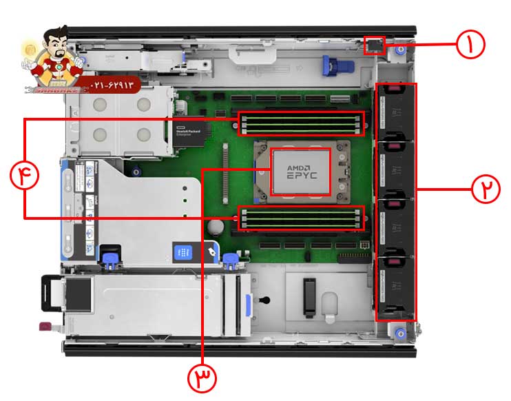 سرور اچ پی DL145 Gen11